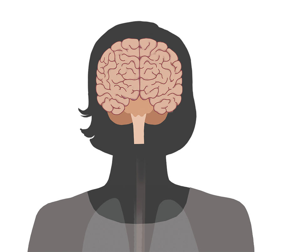 Female Head Silhouette With Infographic Photograph by Elise Walmsley Mac-Wha