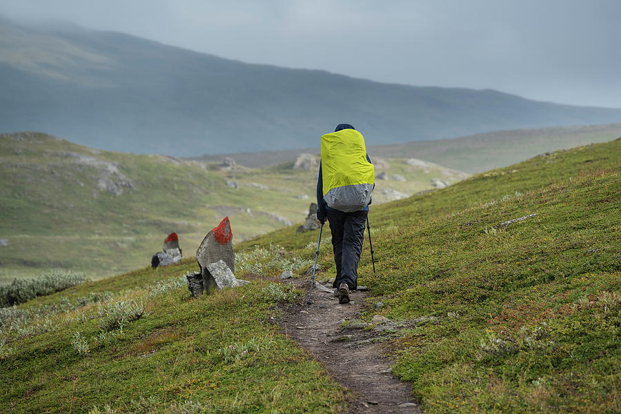 Female Hiking On Trail Of Pandelantaleden - Padjelanta Trail, Sweden ...