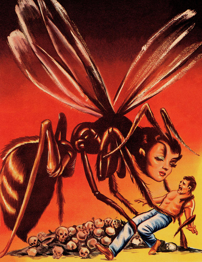 Vintage Drawing - Female Hornet and Man by CSA Images