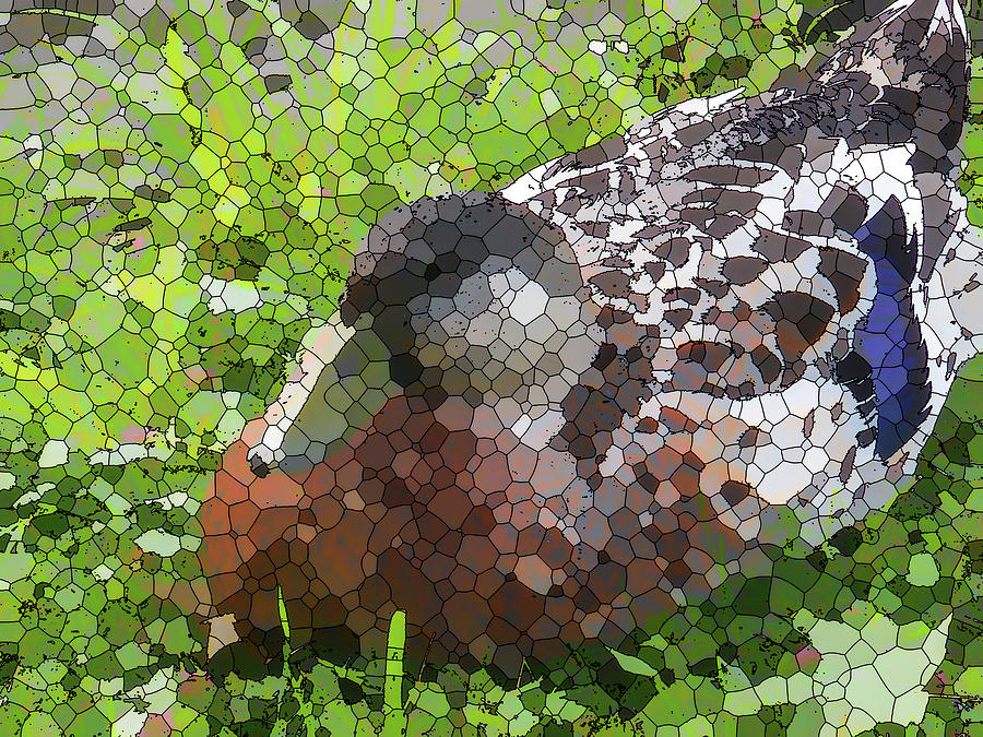 Female Mallard duck resting 2 Painting by Jeelan Clark