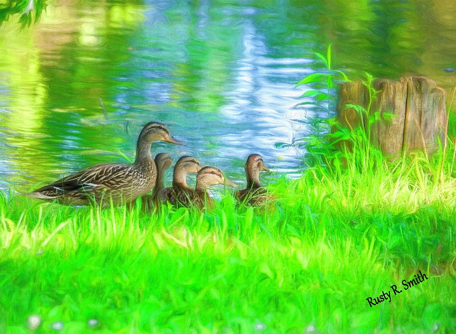 Female Mallard duck with four ducklings. by Rusty R Smith Female Mallard duck with four ducklings. by Rusty R Smith