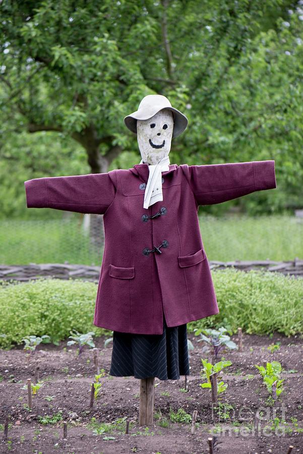 Female Scarecrow Photograph by Adrian Thomas/science Photo Library