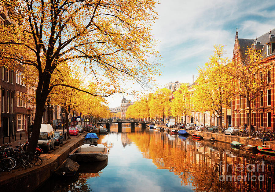 Fall in Amsterdam Photograph by Anastasy Yarmolovich
