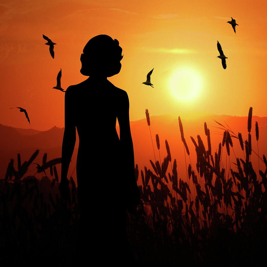 Feminine Longing Country Sunset Scenic Digital Art by Doreen Erhardt