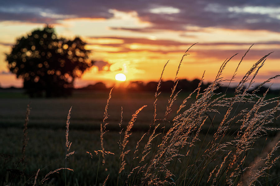Fen Sunset ii Photograph by James Billings