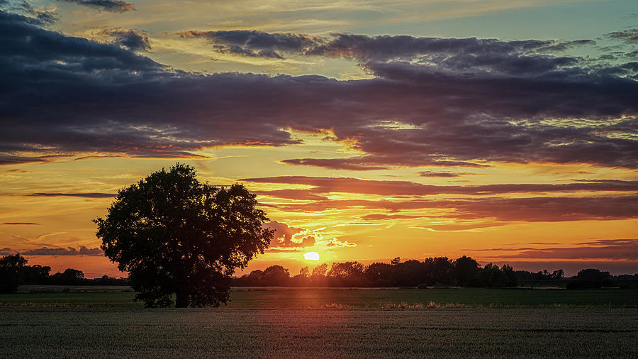 Fen Sunset Photograph by James Billings