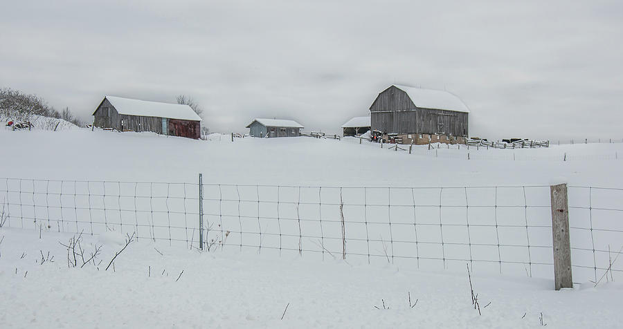 Fence And Farm by Andrew Wilson Fence And Farm by Andrew Wilson