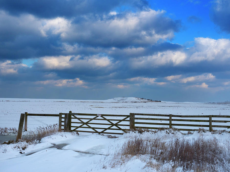 Winter Photograph - Fence And Gate On Grazing Marshes At Salthouse, Norfolk by Ernie Janes / Naturepl.com