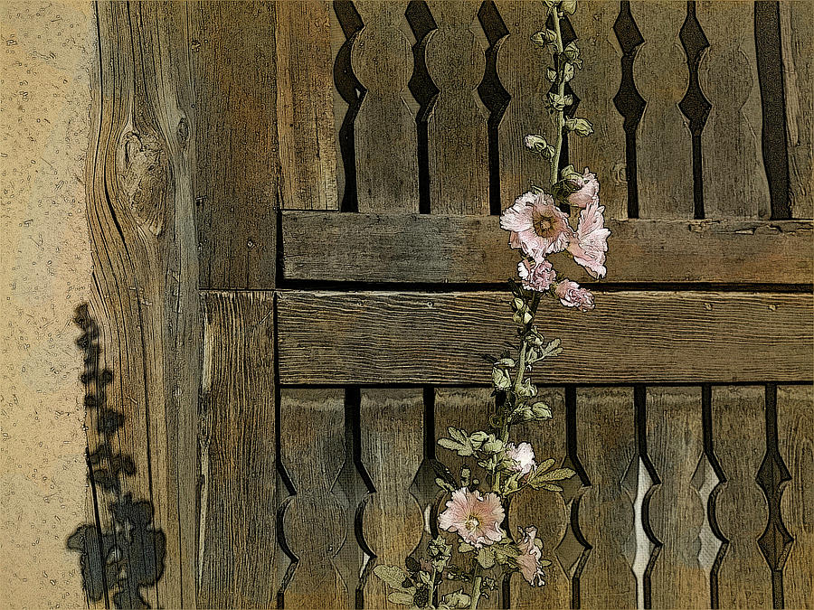 Fence and Hollyhocks by Western Light Graphics Fence and Hollyhocks by Western Light Graphics