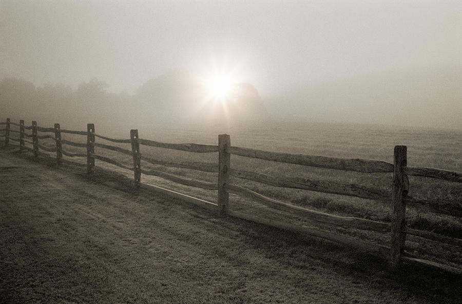 Fence And Sunburst Through Fog Near Photograph by Alvis Upitis