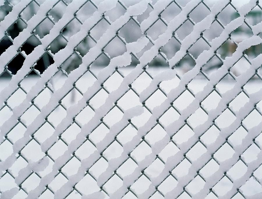 Dallas Photograph - Fence Covered In Snow, Dallas, Texas by Dreampictures