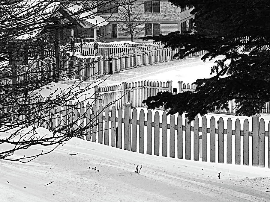 Fence, Fence and More Fences Photograph by Lyuba Filatova