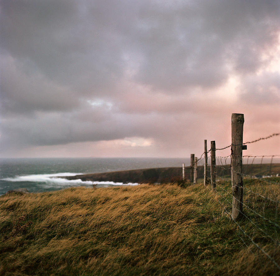 Fence In Ireland Photograph by Danielle D. Hughson
