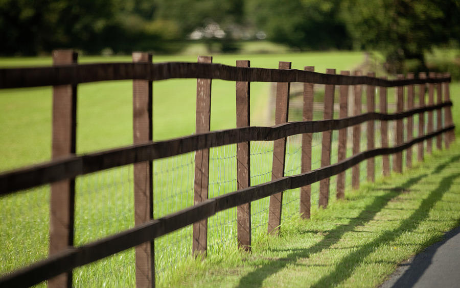 Fence In Sunshine Photograph by Peter Chadwick Lrps