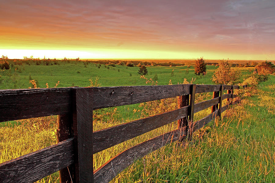Fence In The Morning Light Photograph by B.e. Mcgowan Photography