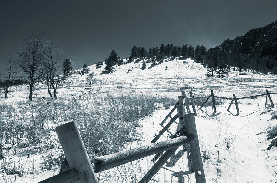 Fence in Winter by Dan Urban Fence in Winter by Dan Urban