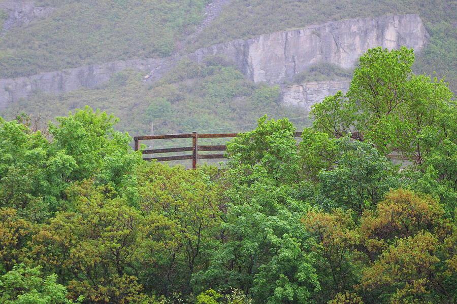 Fence Near Bridal Falls Photograph by Colleen Cornelius
