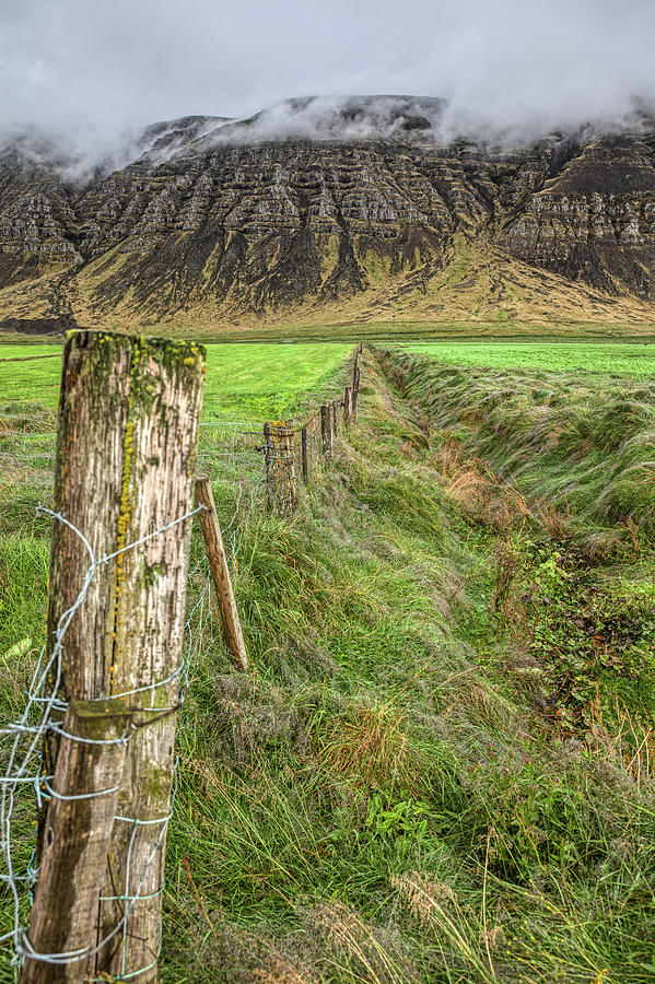 Fence of Iceland Photograph by David Letts