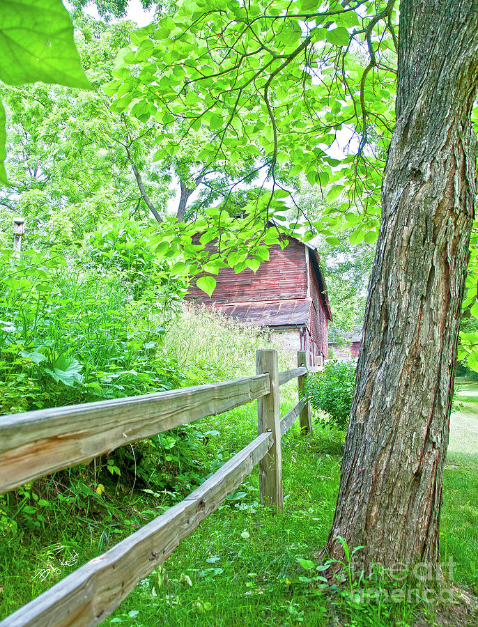 Long Fence, Tall Tree, Old Barn Photograph by Billy Knight