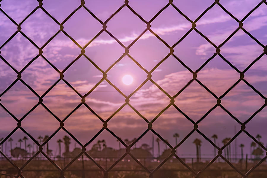 San Diego Photograph - Fenced In by McClean Photography San Diego Photograph - Fenced In by McClean Photography