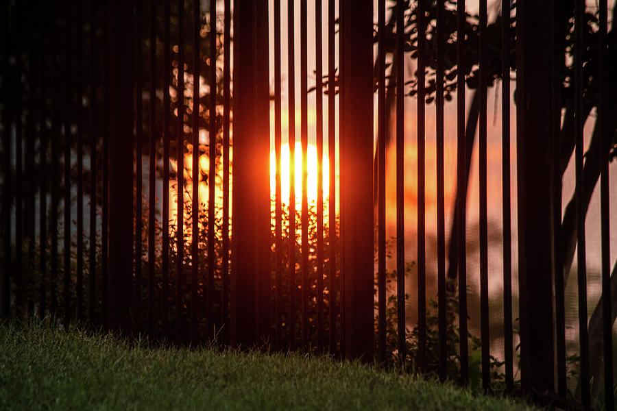 Fenced In Sunrise Photograph by Mary Ann Artz
