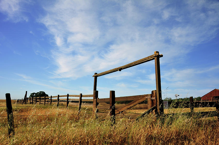Fences In Field Photograph by Daryl Dangelo