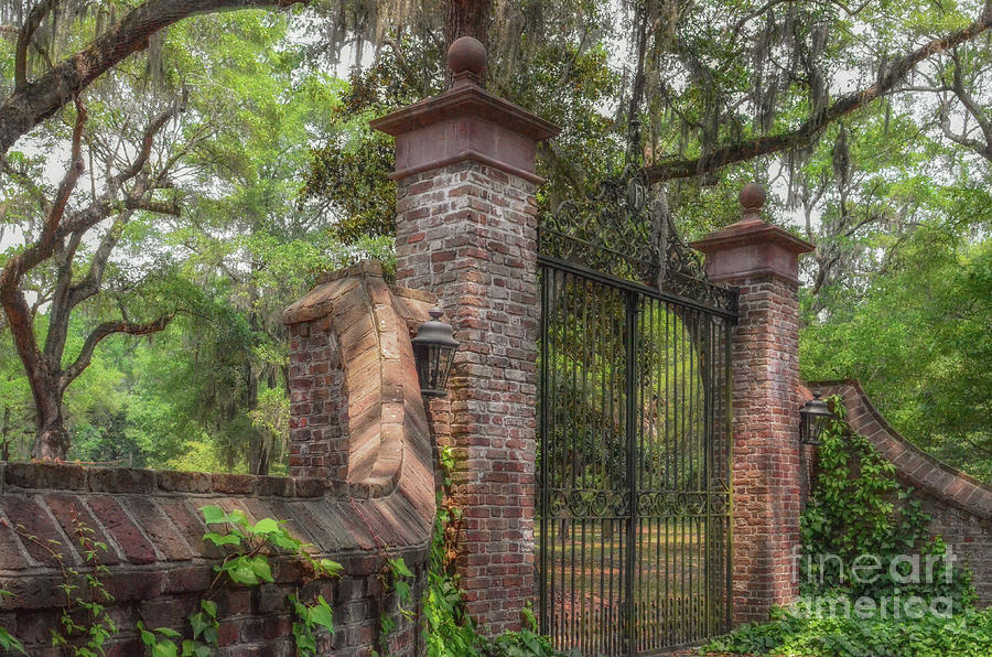 Fenwick Hall Plantation Gates - Johns Island South Carolina Photograph
