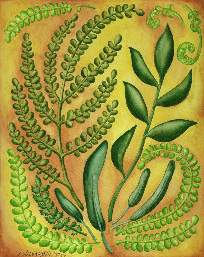 Ferns Painting - Fern 2 by Andrea Strongwater