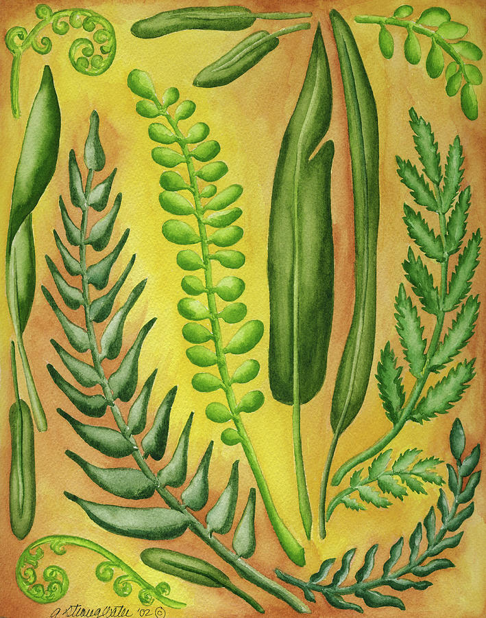 Ferns Painting - Fern 3 by Andrea Strongwater