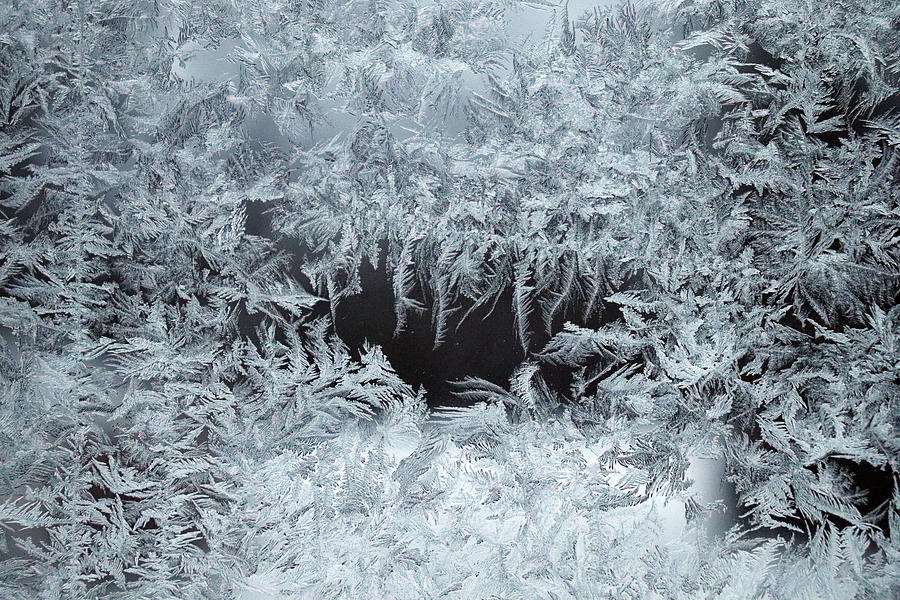 Fern Frost on the Window Photograph by David T Wilkinson