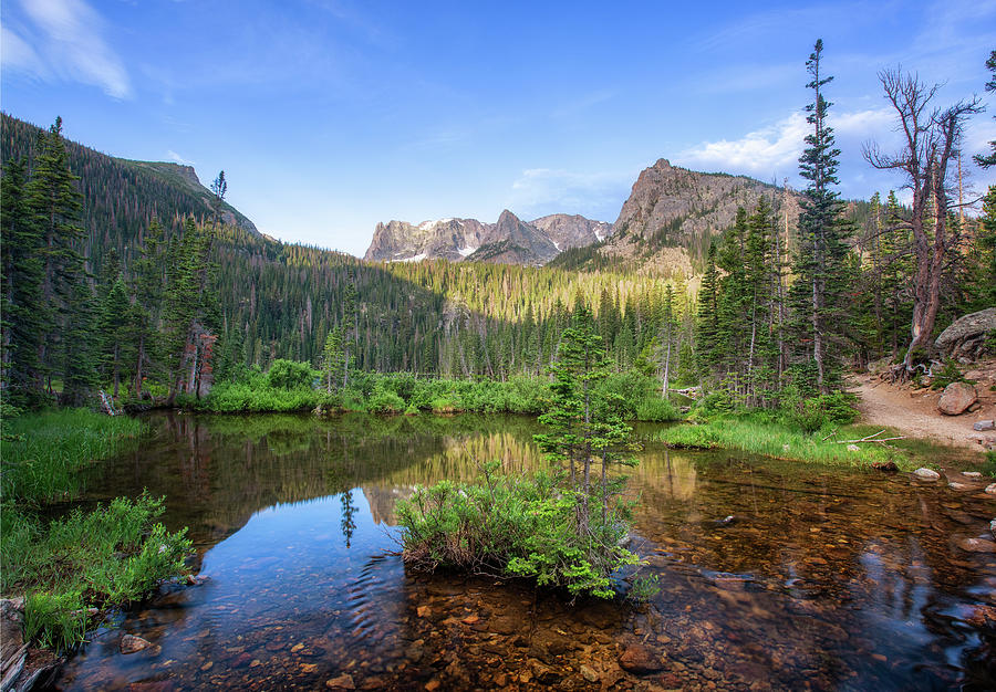 Fern Lake Photograph by Alex Mironyuk | Fine Art America