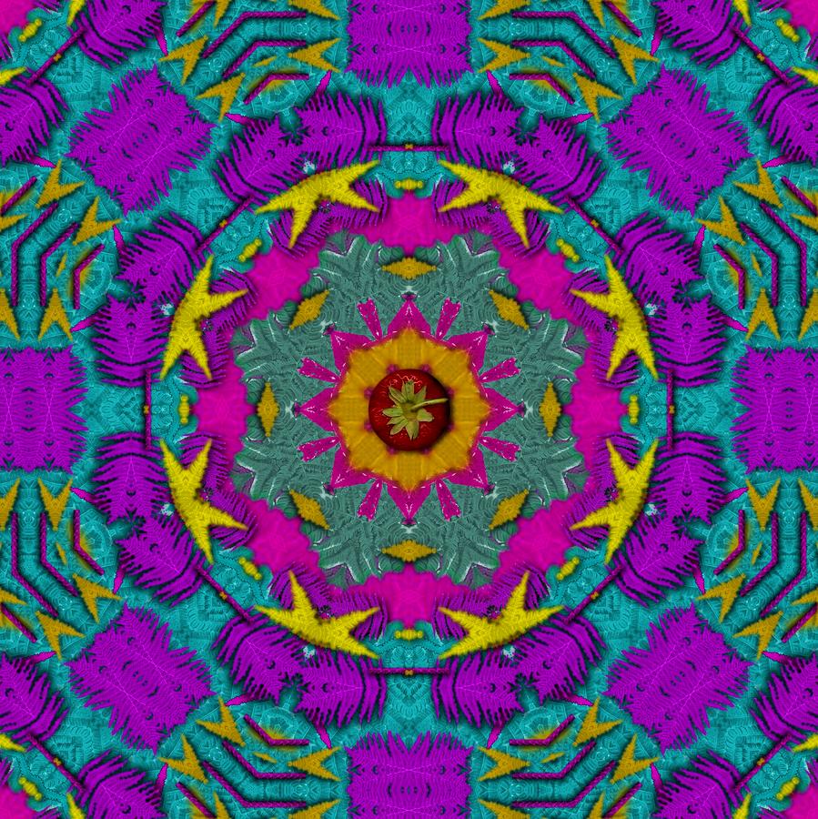 Download Fern Mandala In Strawberry Decorative Style Mixed Media by ...