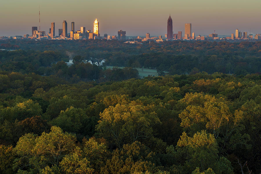 Fernbank Forest, Downtown Atlanta, Georgia Photograph By Cavan Images ...