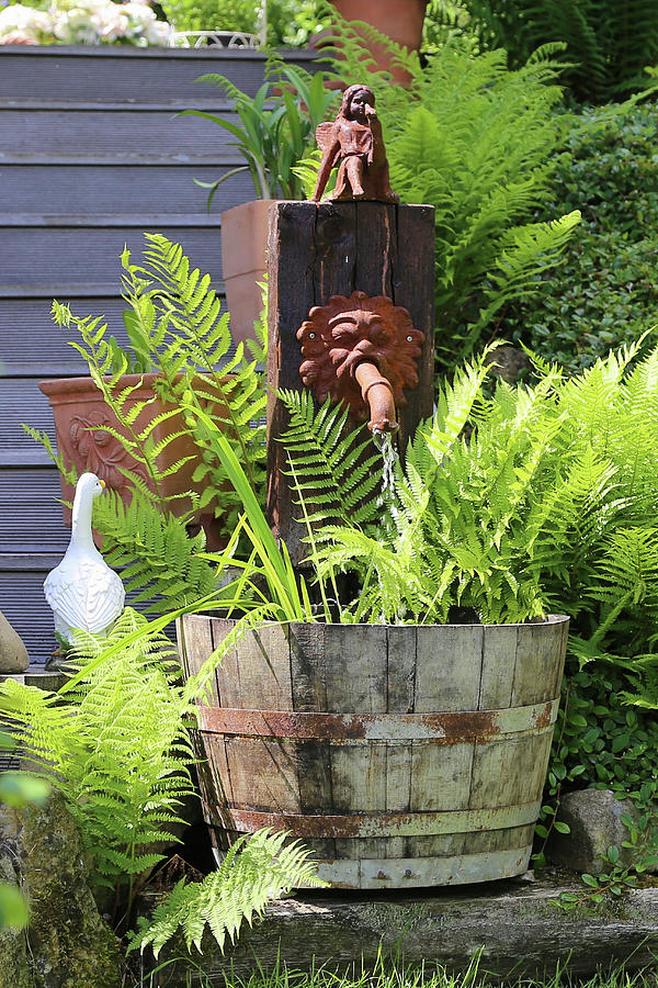 Ferns Around Tub Below Waterspout And Ornaments In Garden Photograph by Domingo Vazquez