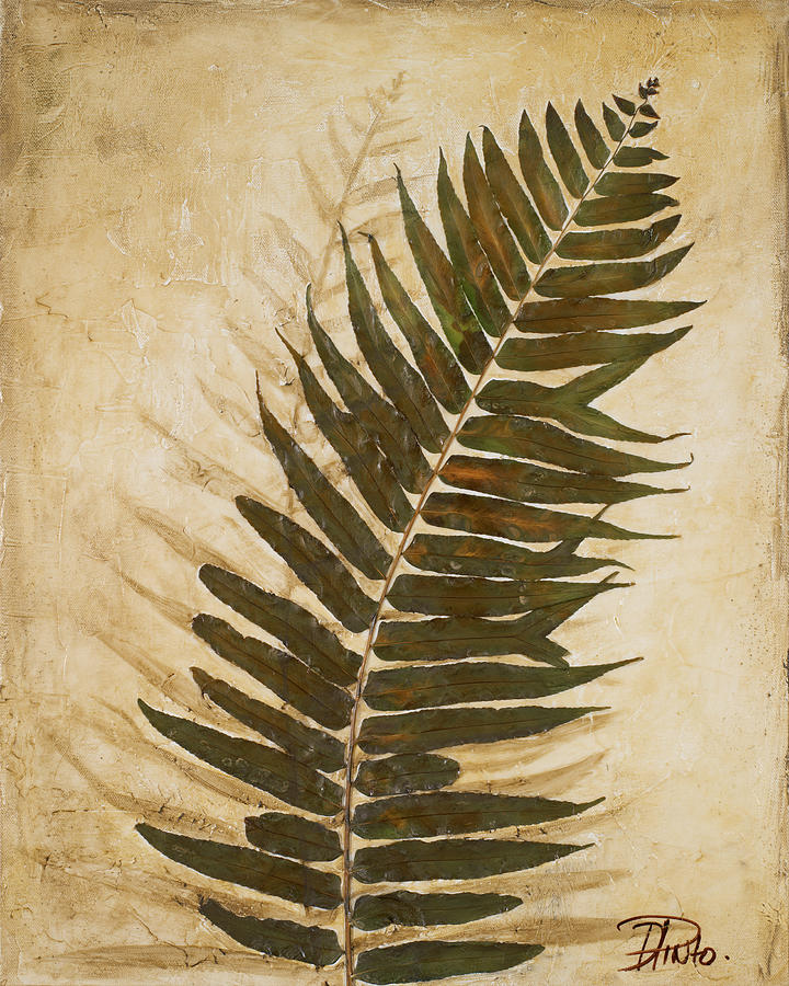 Ferns Mixed Media - Ferns II by Patricia Pinto