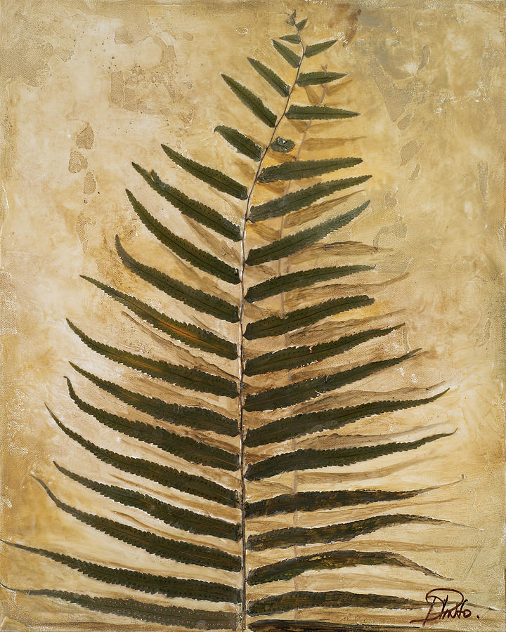 Ferns Mixed Media - Ferns IIi by Patricia Pinto
