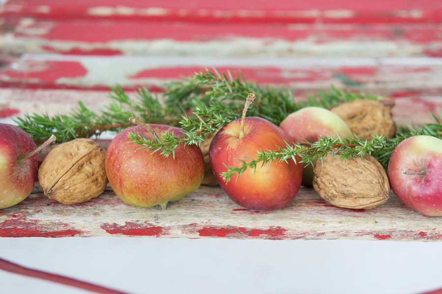Festive Arrangement Of Apples, Walnuts And Juniper Sprigs Photograph by Martina Schindler