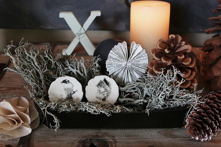 Festive Arrangement Of Lichen And Furniture Knobs Hand-painted With Birds In Box Photograph by Regina Hippel