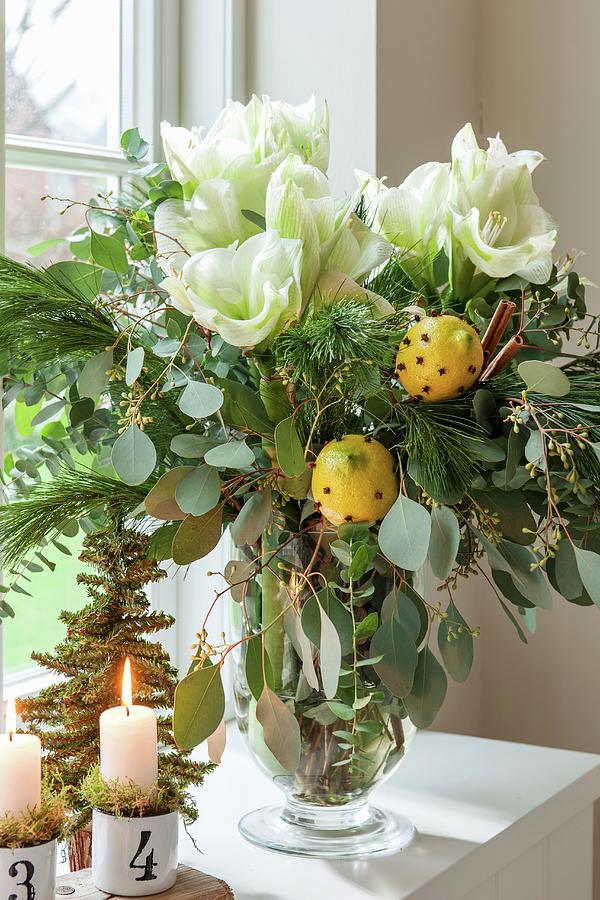 Festive Bouquet With White Amaryllis And Clove-stuffed Lemons In Glass Vase Photograph by Moog & Van Deelen