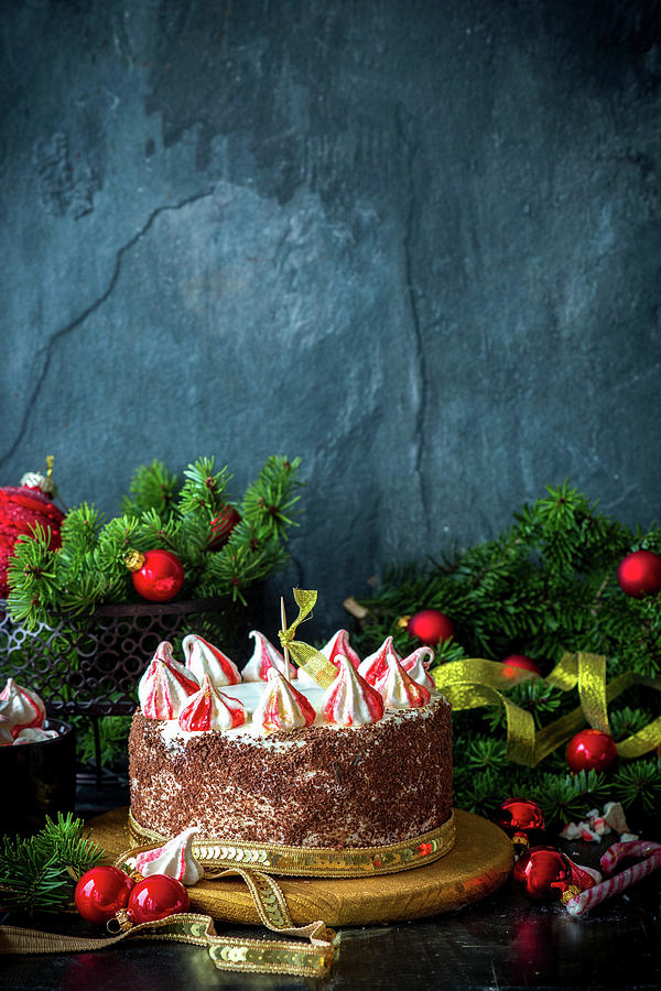 Festive Christmas Cake Photograph by Irina Meliukh