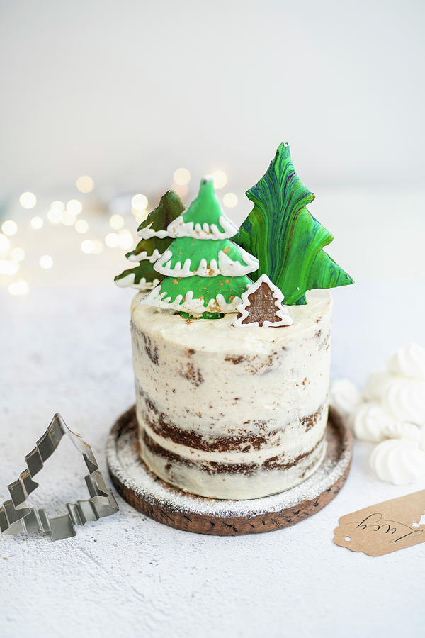 Festive Gingerbread Cake Photograph by Lucy Parissi