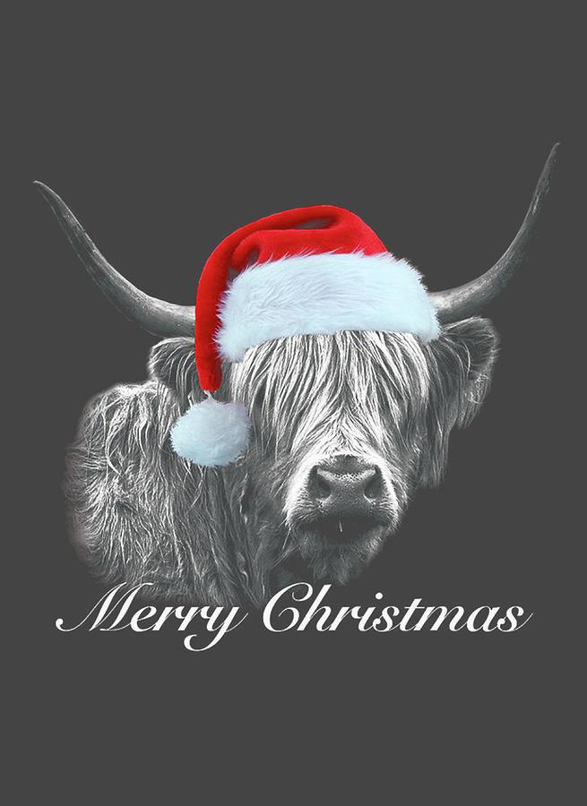 HD christmas cow wallpapers  Peakpx