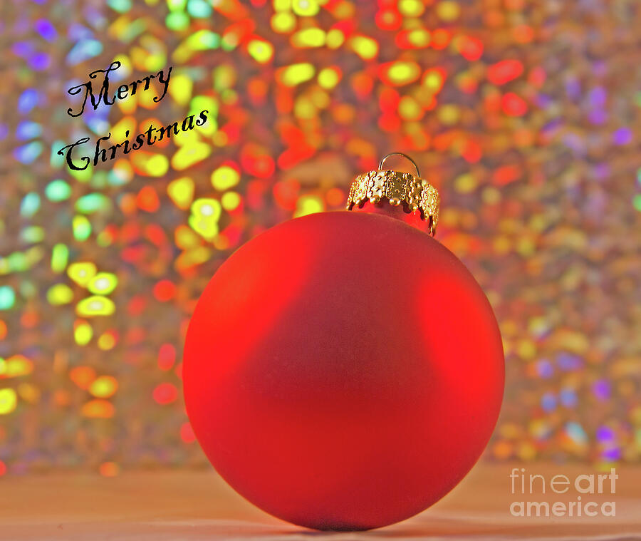 Festive Ornament Photograph by Michelle Tinger