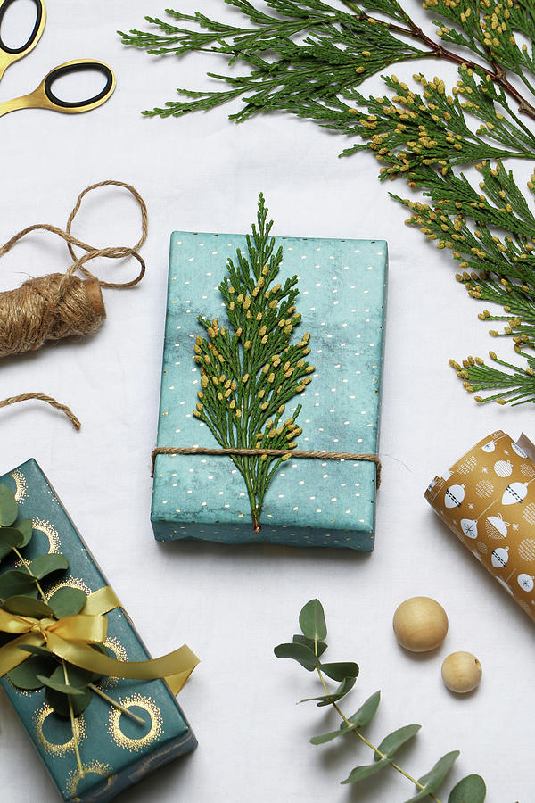 Festively Wrapped Gift Decorated With Thuja Twig Photograph by Marij Hessel