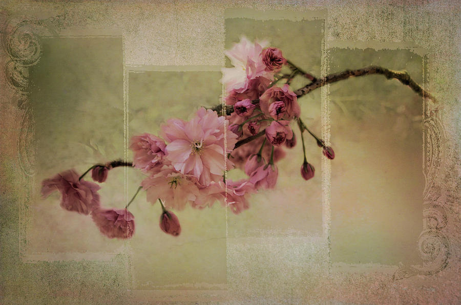 Romantic Blossoms 2 Digital Art by Marilyn Wilson