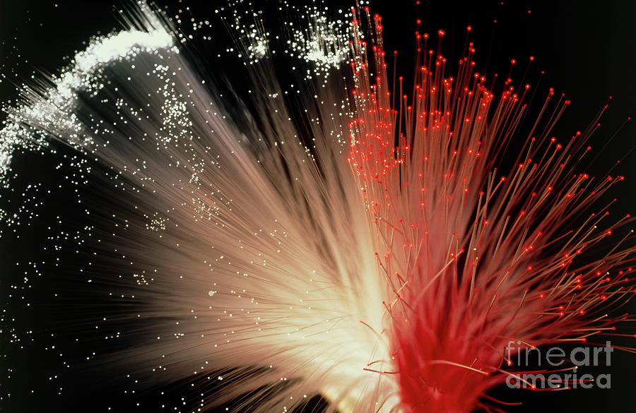 Fibre Optic Cables Photograph by Rosenfeld Images Ltd/science Photo Library