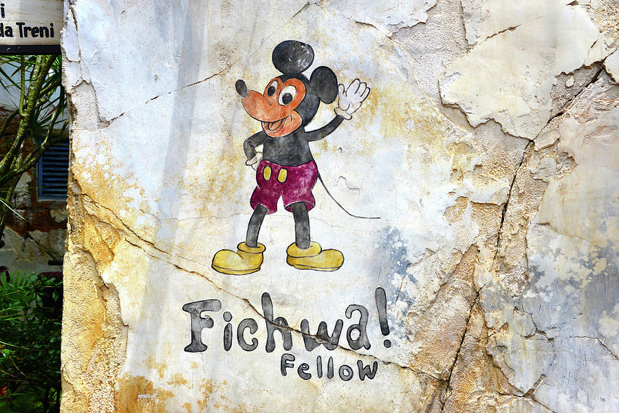 Fichwa Mickey Photograph by David Lee Thompson