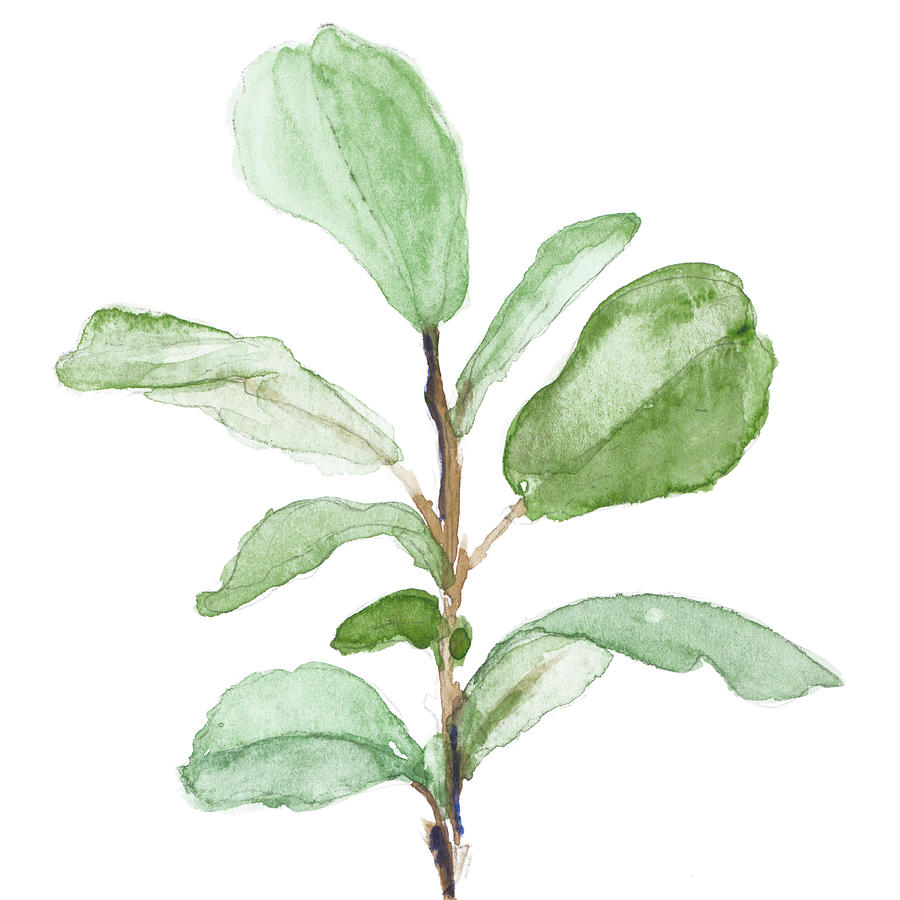 Fiddle Painting - Fiddle Fig Leaf Plant II by Lanie Loreth
