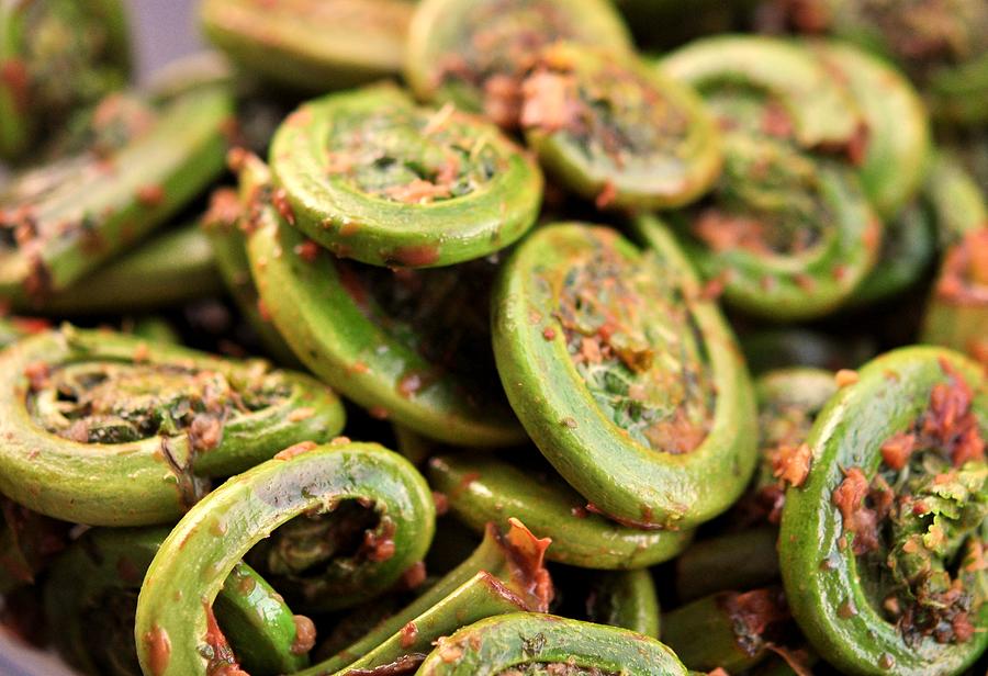 Fiddlehead Ferns Photograph by Image By Michael Talalaev