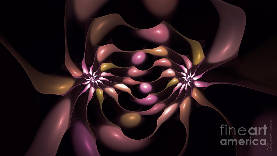 Floral Fidget Digital Art by Doug Morgan